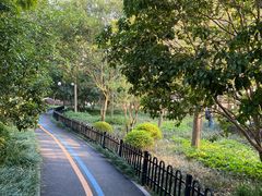 -陆家嘴中心绿地