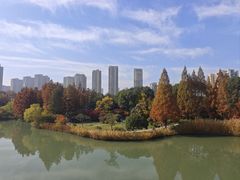 -青枫公园