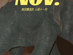 -西双版纳融创皇冠假日度假酒店