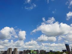 -映月湖中央公园