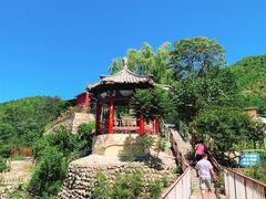 -双新垂钓园