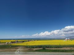 -青海湖国家重点风景名胜区