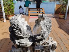 -蓝湾碧波·老字号·疍家非遗海上餐厅