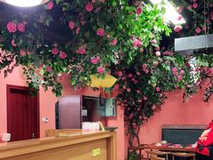-渔香岛美蛙鱼头火锅(威清路店)
