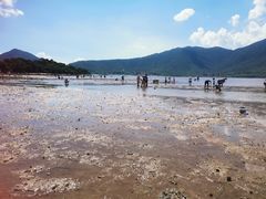 -坝光海滩
