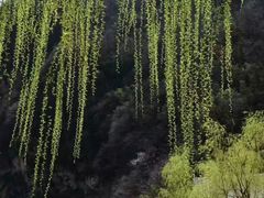 -沣峪口