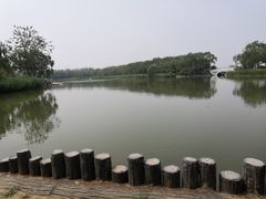 -大兴滨河森林公园