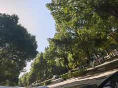 -金银湖国家城市湿地公园