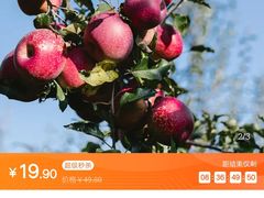 -e佳鲜果(四方坪店)