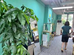 -邵老师打金·黄金加工(大望路总店)