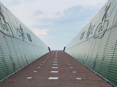 -南京眼步行桥