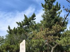 -养马岛旅游度假区