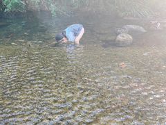 -北仑森林植物园