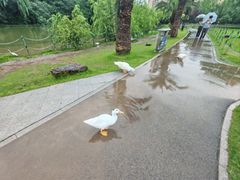 -大宁公园