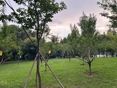 -雀儿山公园