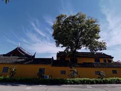 -司徒庙