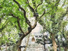 -江心屿景区
