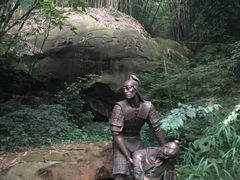 -铁山坪森林公园