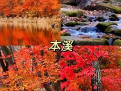 -塔川景区