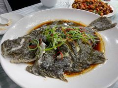 清蒸多宝鱼-雅逸居海鲜小厨