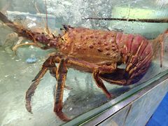 -聚鲜阁海鲜美食城(香水湾店)