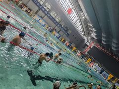 -陕西省游泳跳水馆