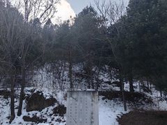 -大觉寺-停车场