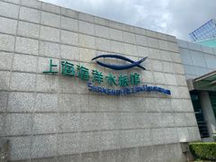 -上海海洋水族馆