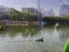-团结湖公园