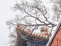 -颐和园