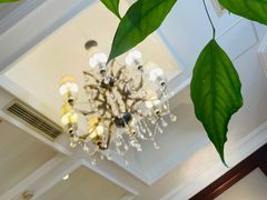 -南山鲜虾面·活鲜小馆·海味大连菜(南山总店)