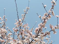 -西北湖绿化广场
