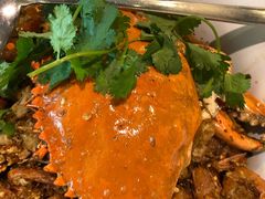 -石头咕(葵蓬店)