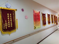 -朗诗常青藤养老(五马渡店)