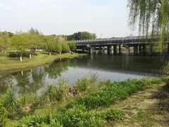 -尚贤河湿地
