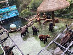 -深圳野生动物园