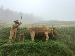 -紫鹊界梯田景区