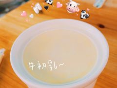 -光明刘冰乳鸽店(光明法政北路店)