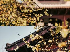 -钱王祠