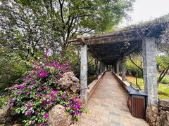 -洱海月湿地公园