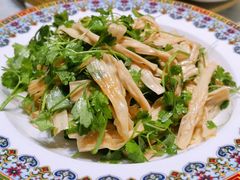 三叶香拌腐竹-金筷子西北菜·捞悦火锅