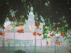 -前小桔亲子创意农场·草莓采摘·露营烧烤