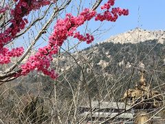 -石岛赤山风景区