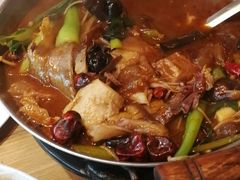 -佶政筋饼·新概念(安阳路店)