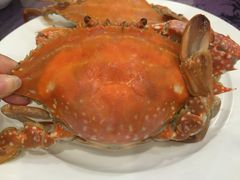 -山东八大碗山东老字号