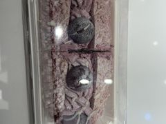 -奈雪的茶(振华商厦店)
