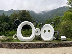 -卧龙中华大熊猫苑神树坪基地