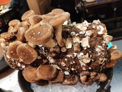 现摘松香菇-火鳳祥美蛙牛肉自助(青悦城店)