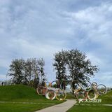 东五环边可以拍出草原大片儿的地方