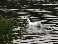 -白塘生态植物园